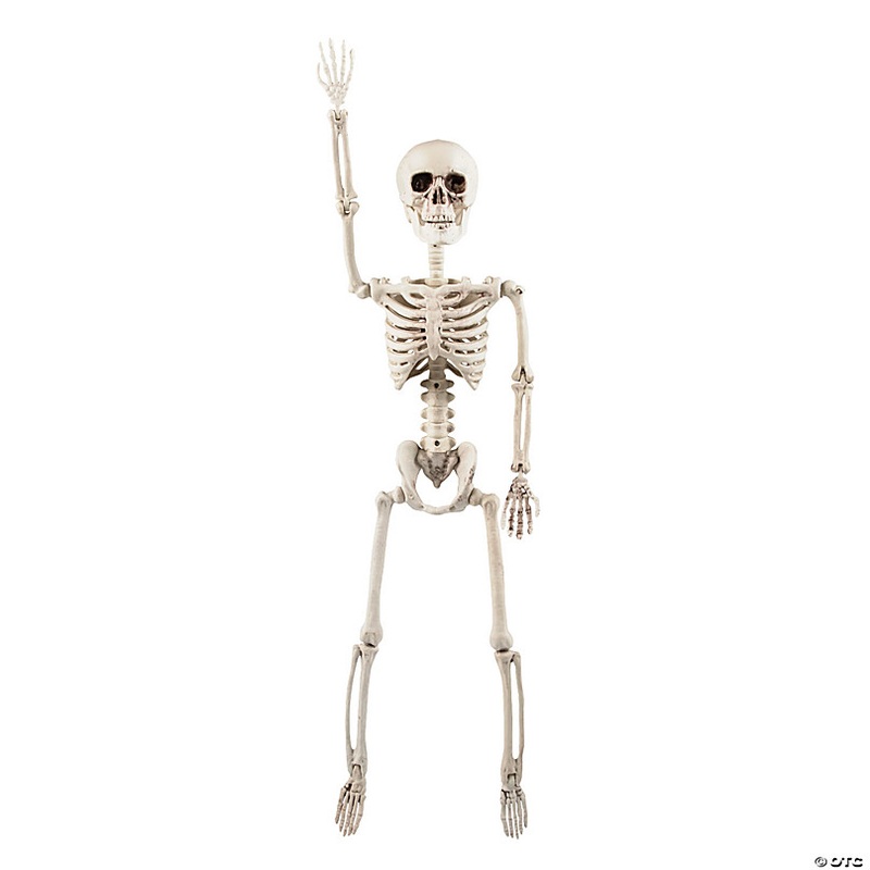 2 Ft. Posable Skeleton Halloween Decoration