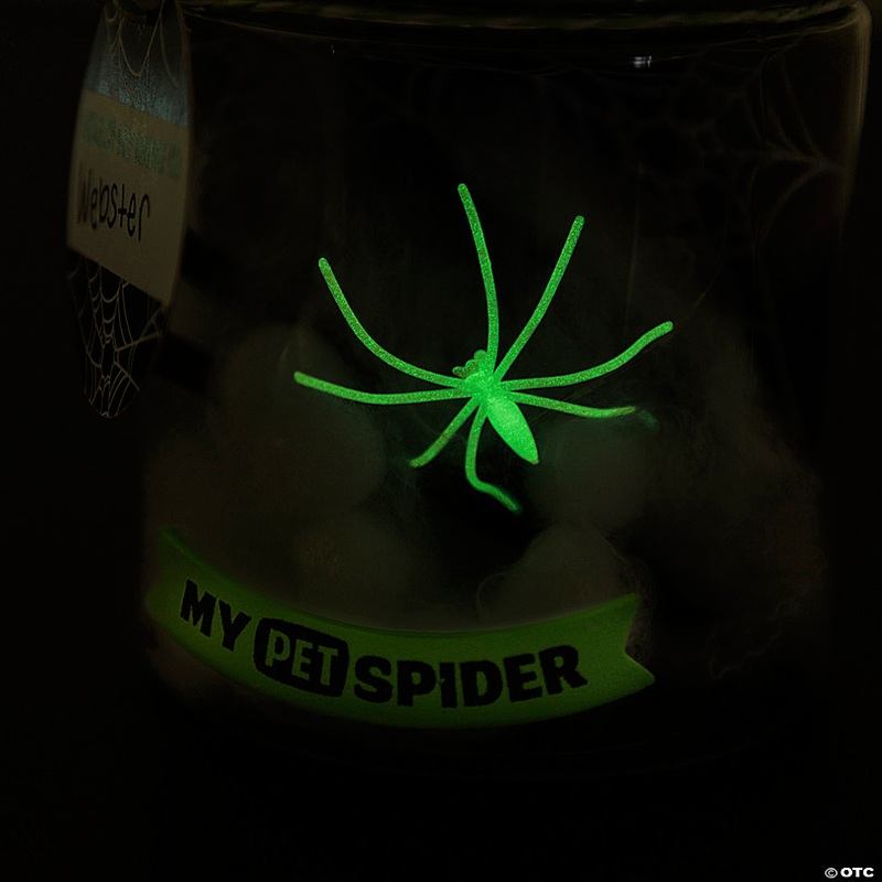 3 x 4 Glow-in-the-Dark Pet Spider in a Jar Halloween Decor Craft Kit - Makes 6