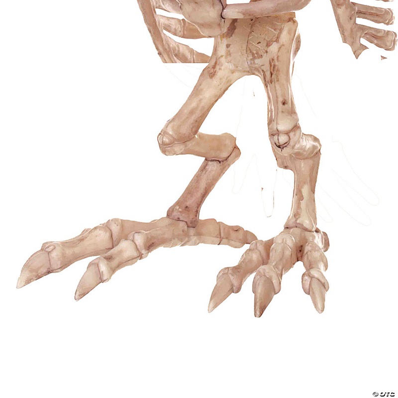 13.5 Owl Skeleton Decoration