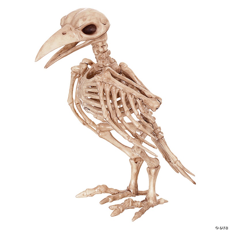 6.5 Raven Skeleton Decoration