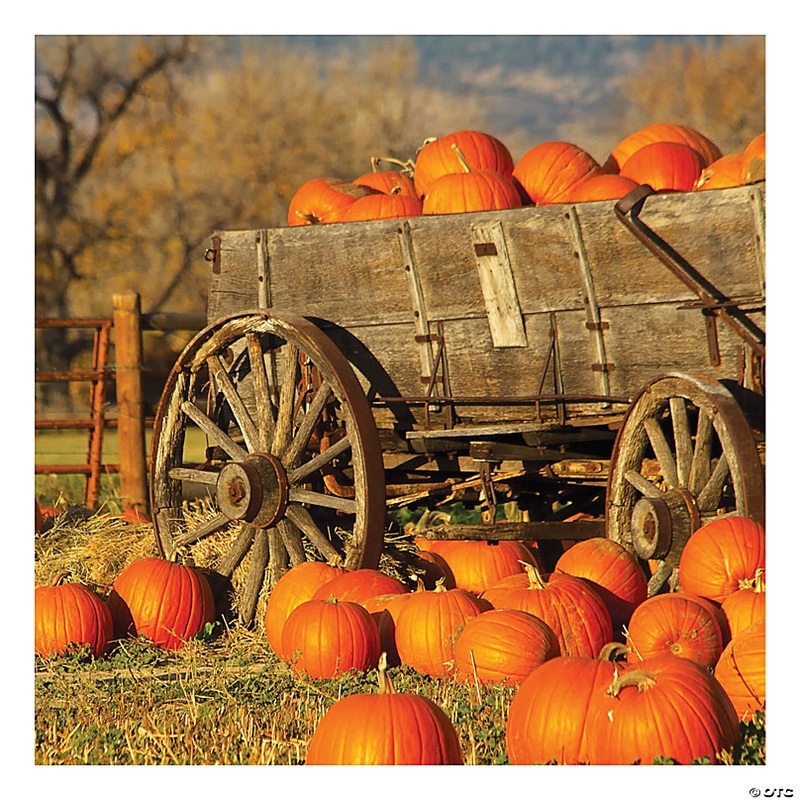 6 Ft. x 6 Ft. Fall Pumpkin Patch Design-a-Room Plastic Backdrop