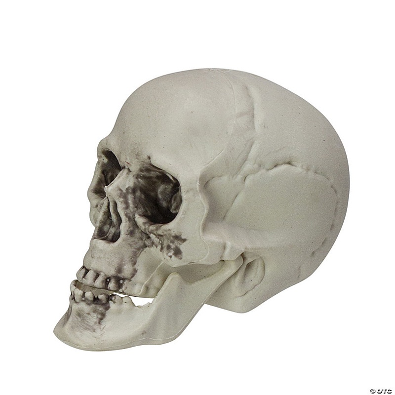 Pack of 6 Skull Head Halloween Decorations 3.5