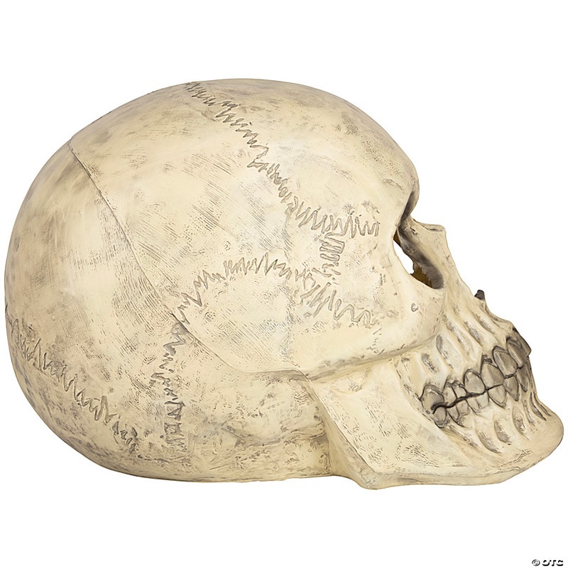 20 Glow-in-the-Dark Skull Halloween Decoration