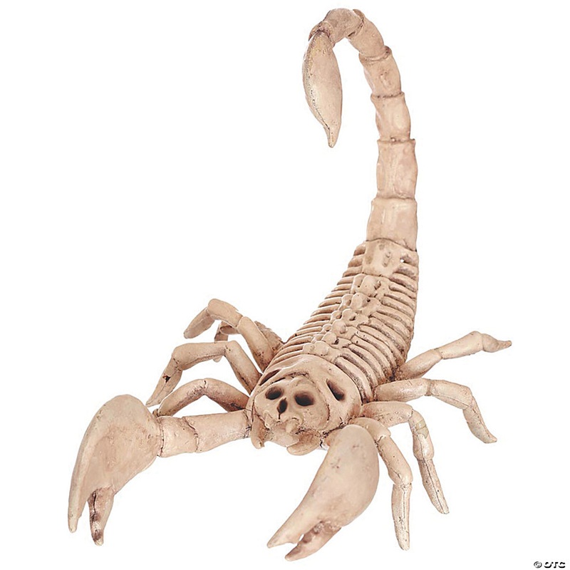 9 Scorpion Skeleton Halloween Decoration