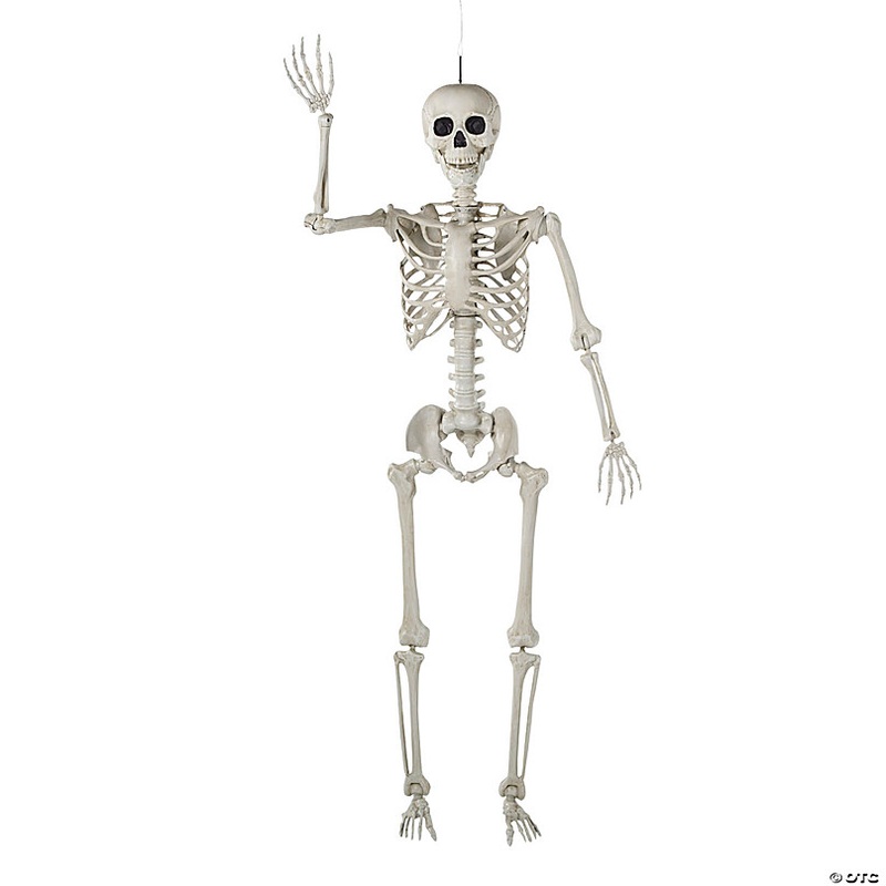 5 Ft. Life-Size Posable Plastic Skeleton Halloween Decoration